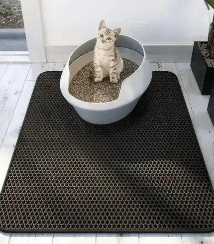 Double Layer Non-Slip Pet Cat Litter Mat
