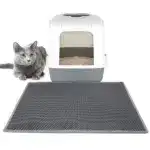 Double Layer Non-Slip Pet Cat Litter Mat