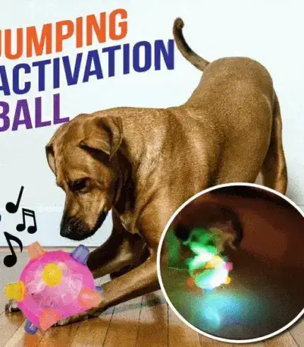 Jumping Activation Ball for Dogs and Cats