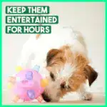 Jumping Activation Ball for Dogs and Cats