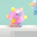 Jumping Activation Ball for Dogs and Cats