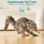 Intelligent Playful Collar for Kittens