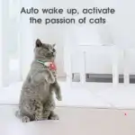 Electric Smart Amusing Collar for Cat