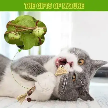 Natural Silvervine Stick Cat Chew Toy