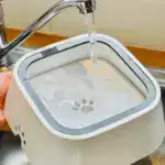 Dog Water Bowl