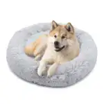 The cozy pet bed 'Cloud 7'