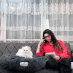 The cozy pet bed 'Cloud 7'