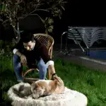The cozy pet bed 'Cloud 7'