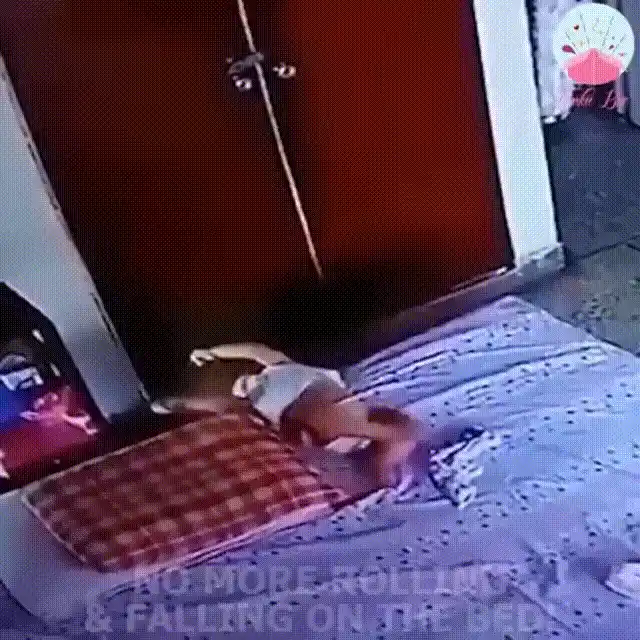 Portable Baby Bed Animation