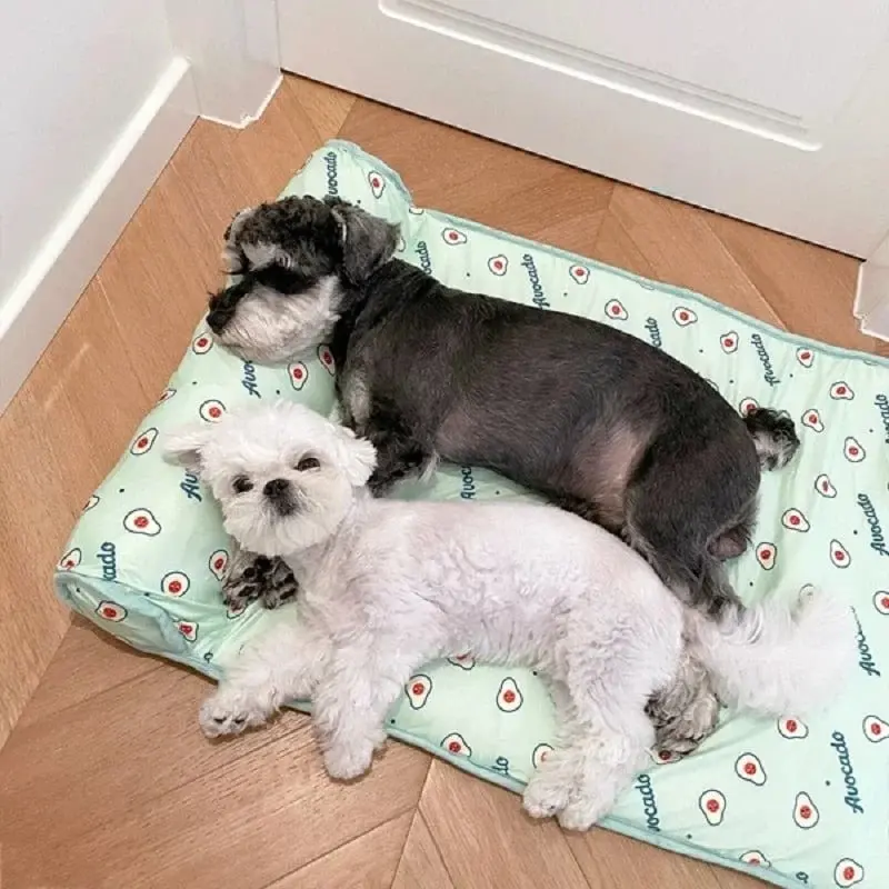 Machine Washable Pet Mat