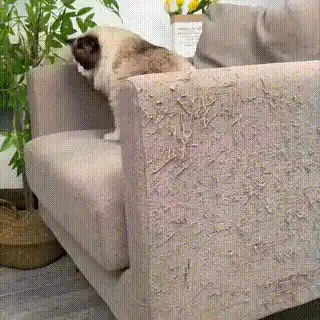 Furniture Protection
