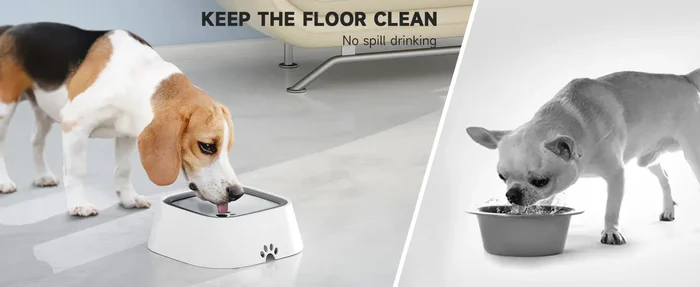 Pet Water Bowl