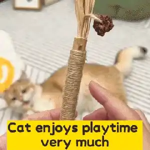 Cat playing with silvervine stick