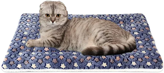 Cat Blanket