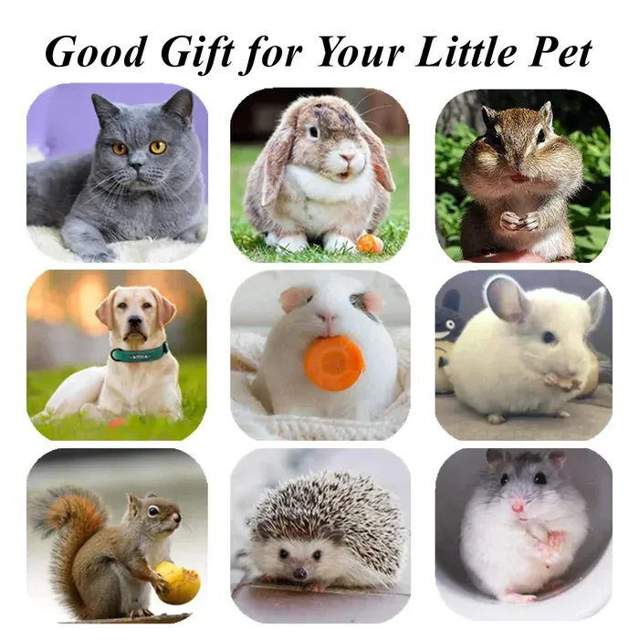 Pet-friendly silvervine stick