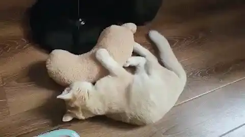 U-Shaped Cat Pillow
