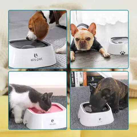 Pet Water Bowl in Use