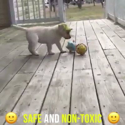 LED Jumping Activation Ball for Dogs