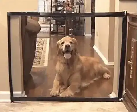 Safety Gate