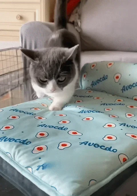 Cooling Pet Mat