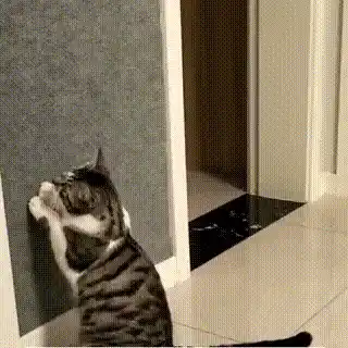 Cat Scratching Mat